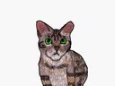 kat000
