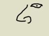 nose