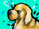 Cocker Spaniel