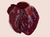 HEART001