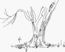 ELM