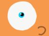 eyeball