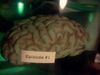 Brain Episode 3