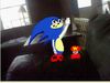 Sonic Animation