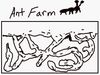 Ant Farm