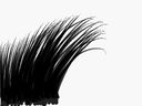 grass000